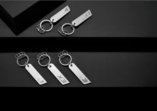 AAS BMW KEYRING Banners AR 500 X353